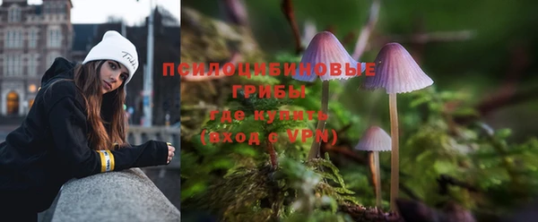 стаф Зеленодольск