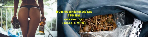 прущие крисы Зеленокумск