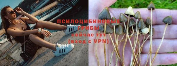 меф Инсар