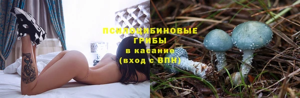прущие крисы Зеленокумск