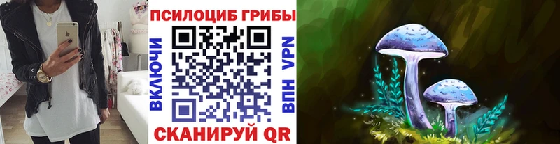 Псилоцибиновые грибы Magic Shrooms  где можно купить наркотик  Луховицы 