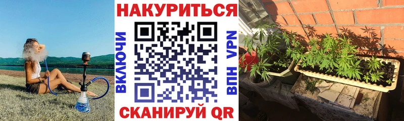 как найти наркотики  даркнет официальный сайт  Марихуана VHQ  Луховицы 